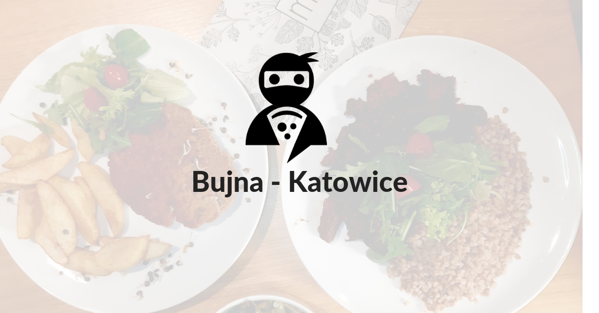You are currently viewing Bujna – Katowice